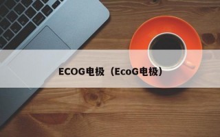 ECOG电极（EcoG电极）