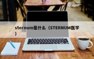 sternum是什么（STERNUM医学）