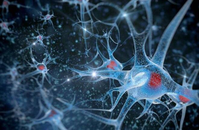 什么是R-N脑神经修复再生疗法 DNR脑神经修复介入疗法怎么样-第1张图片-立亚科技