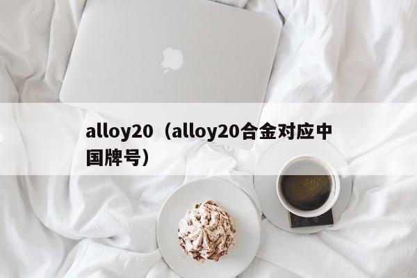 alloy20（alloy20合金对应中国牌号）-第1张图片-立亚科技