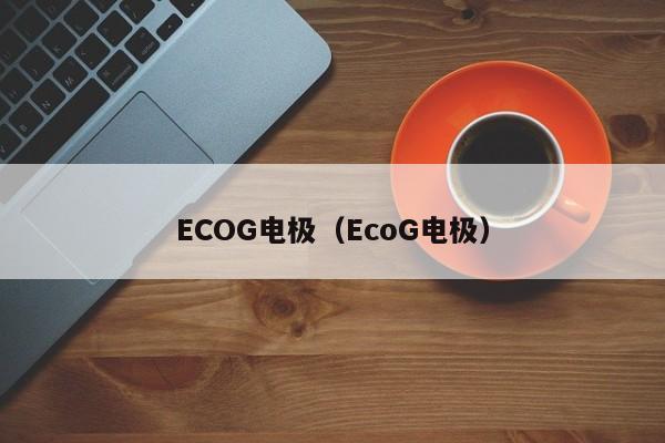 ECOG电极（EcoG电极）-第1张图片-立亚科技