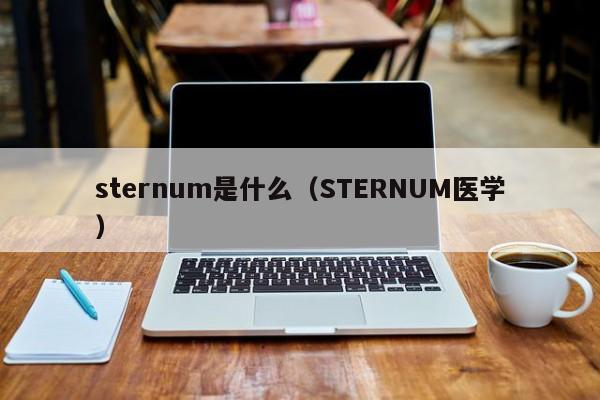 sternum是什么（STERNUM医学）-第1张图片-立亚科技